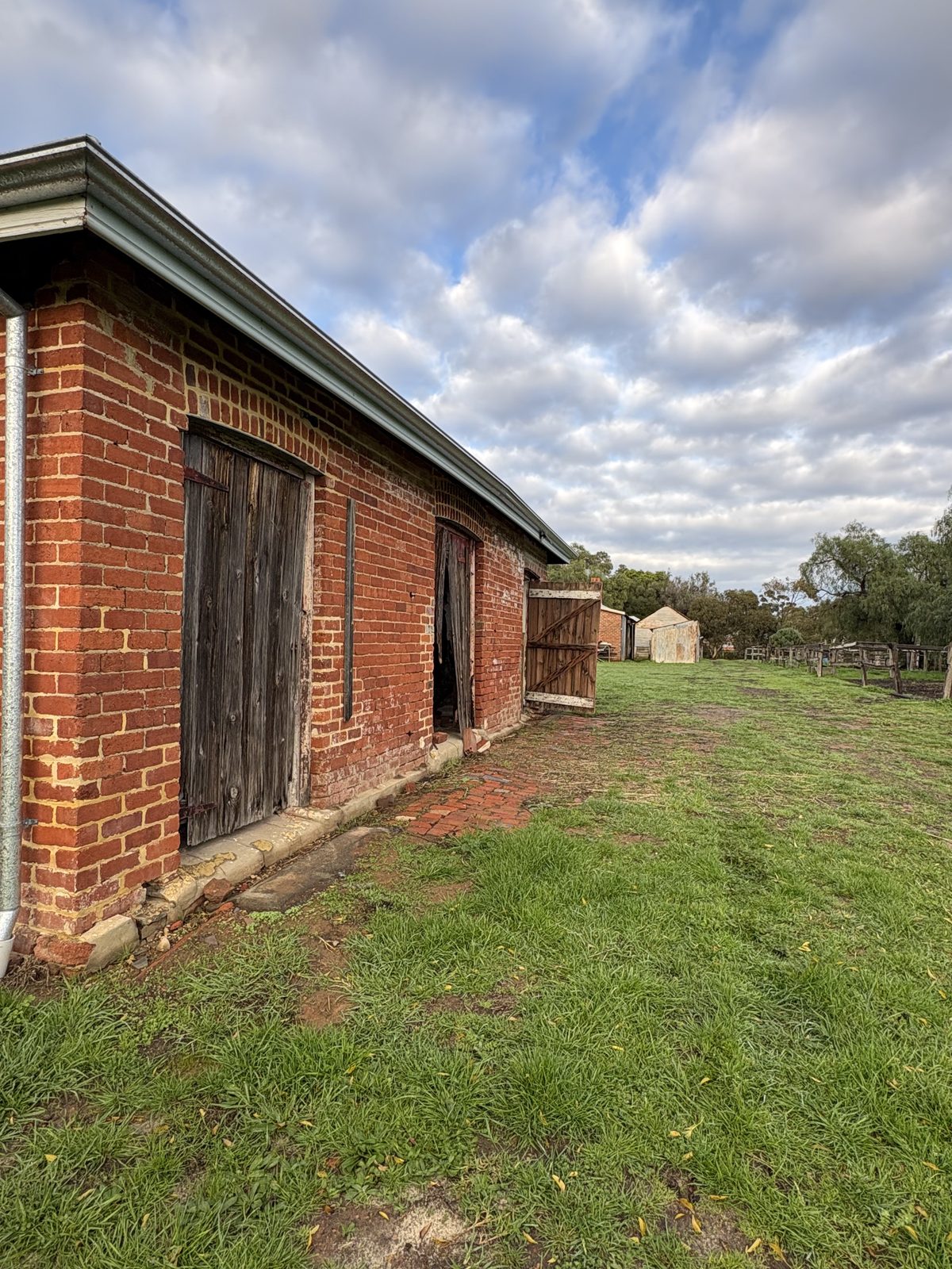 The brick path beside the dairy shed, as found in 2026